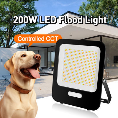 3CCT Selectable LED Flood Light with 180° Adjustable Angle and IK07 Impact Resistant for Outdoor Use