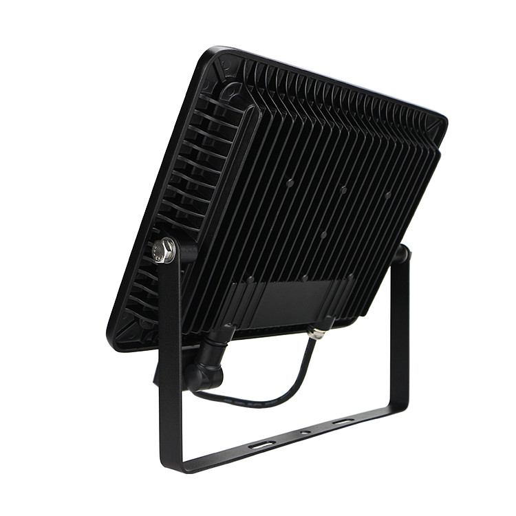 260V Security LED Floodlights Eave Mount 10 W 30 W 50 W Outdoor Motion