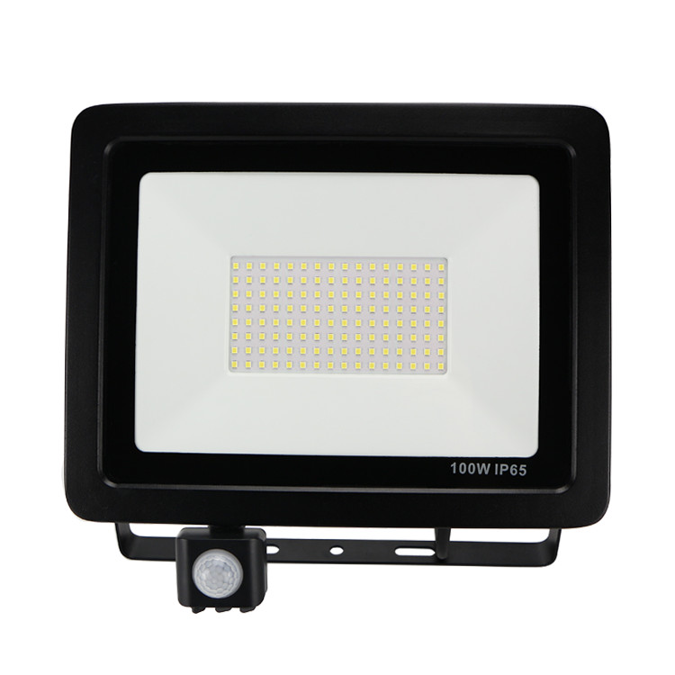 260V Security LED Floodlights Eave Mount 10 W 30 W 50 W Outdoor Motion