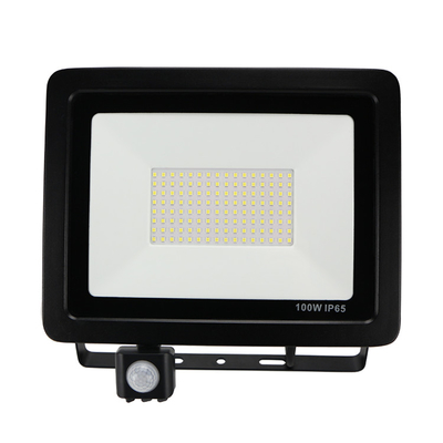 260V Security LED Floodlights Eave Mount 10 W 30 W 50 W Outdoor Motion Sensor Flood Light