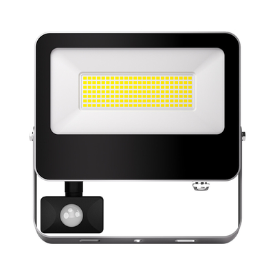 Security Spotlight IP65 Waterproof Hot Sale Led Flood Light Aluminum Housing With Motion Sensor For Garden Street Wall