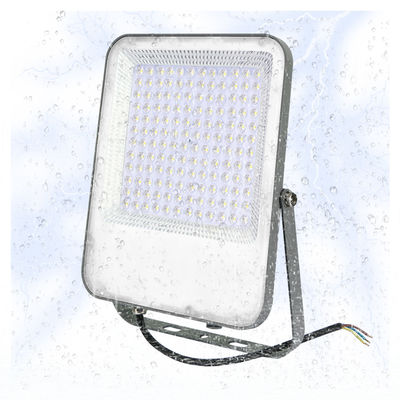 Heat Resistant Rainproof Outdoor LED Flood Lights 100w